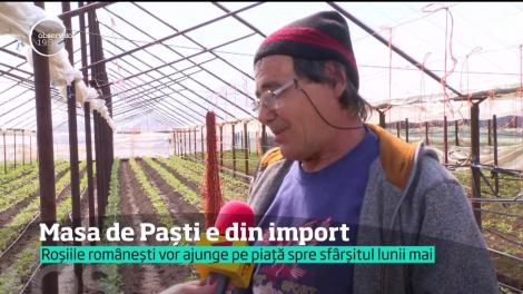 De Paşti, punem pe masă legume de import. Roşiile şi castraveţii româneşti ies pe piaţă în mai