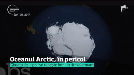 Gheaţa de la poli se topeşte într-un ritm alarmant!