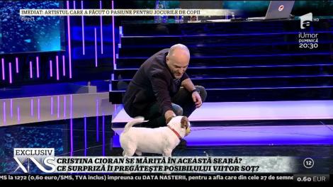 Cristina Cioran a aflat că are un câine de pe Facebook! Amon a făcut senzaţie în platoul de la Xtra Night Show!