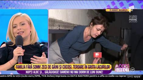 Nu mai au somn! Zeci de păsări de curte terorizează o familie din Bucureşti