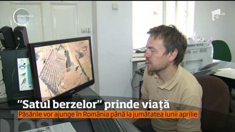 Dumbrăvioara, localitatea cunoscută ca Satul Berzelor, în aşteaptarea înaripatelor