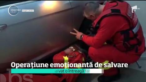 Operaţiune emoţionantă de salvare. O pisicuță a născut în galeria caldă a motorului unui autovehicul