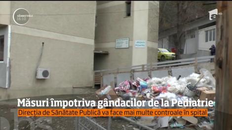 Măsuri împotriva gândacilor din Spitalul Judeţean Neamţ