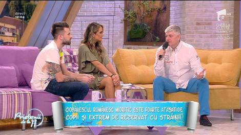 „Prietenii de la 11” au fost topiți după blănoși! Puii de ciobănești mioritici nu au avut nicio emoție în fața camerelor de filmat!