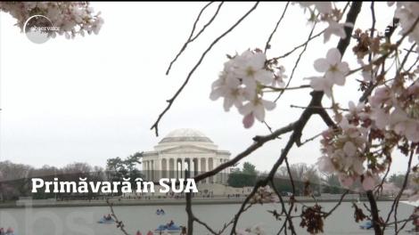 Primăvara îşi intră în drepturi şi peste Ocean!