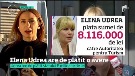 Elena Udrea are de dat statului şi martorilor din dosarul "Gala Bute" peste 3 milioane de euro