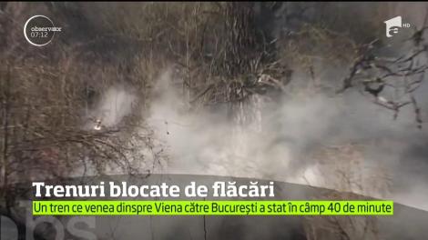 Un puternic incendiu de vegetaţie a oprit traficul feroviar pe magistrala 200 Deva - Arad