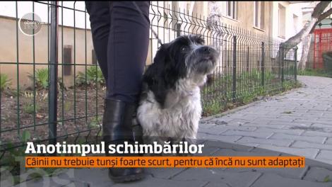 Primăvara este anotimpul schimbărilor. Dar nu doar oamenii trebuie să îşi modifice stilul de viaţă