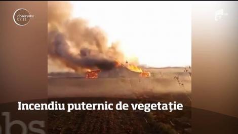 Nu e zi fără vreun incendiu de vegetaţie!