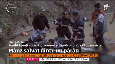 Clipe dramatice şi emoţionante în comuna Sihlea din Vrancea