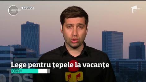 Din toamnă, lege care să-i ferească pe turişti de ţepe la concedii