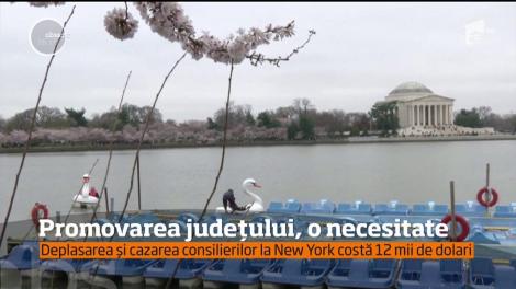 În judeţul Prahova nu sunt bani pentru investiții, dar este promovat la New York!