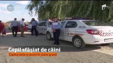 Cazul „Ionuț” la indigo? Un copil de opt ani este în stare critică după ce a fost muşcat crunt de patru câini