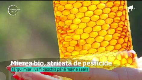 Mierea bio, stricată de pesticide