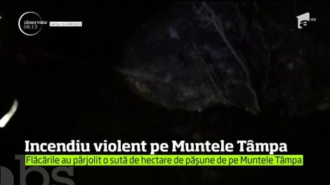 Un incendiu violent a izbucnit pe Muntele Tâmpa, iar focul s-a extins, rapid, pe sute de metri pătraţi de vegetaţie