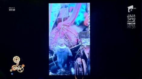 Smiley News: Ai n-ai duș, te speli pe cap. Ce minuni poți face cu un pet de cinci litri plin cu apă