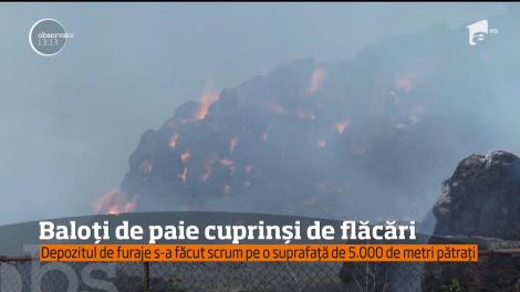 Un alt incendiu s-a dezlănţuit într-o comună din Prahova, de aceasă dată nu la o locuinţă, ci pe terenul unei societăţi agricole