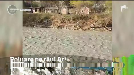 Poluare în apele râului Arieş