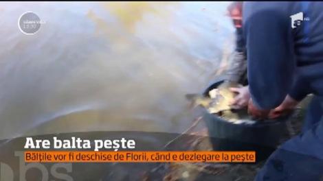 Mai e puţin până de Florii. Iar peştele va fi vedetă pe mesele creştinilor care ţin la tradiţie