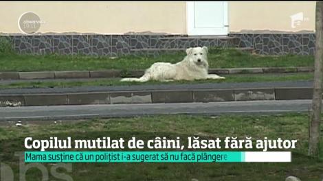 Cazul fetiţei mutilată de maidenezi pe o stradă din Târgu Jiu încearcă să fie muşamalizat
