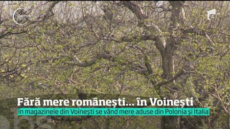 În magazinele din Voineşti, patria merelor româneşti, se vând fructe aduse din Polonia şi Italia