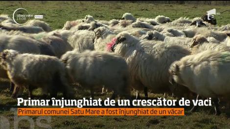 Un primar dintr-o comună din Harghita a ajuns la spital după ce a fost înjunghiat de un crescător de vaci