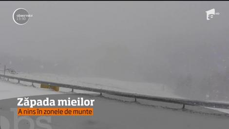 Video. Ninge în România la început de aprilie! Pe Valea Prahovei, precipitaţiile sunt abundente