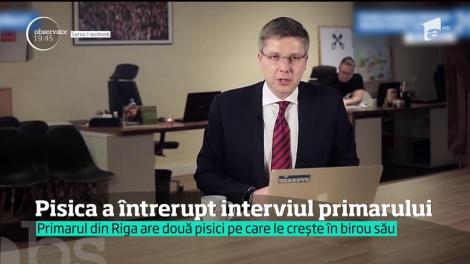 Primarul capitalei Letoniei a fost întrerupt, în timpul unui interviu, chiar de către pisica sa