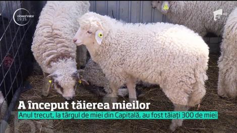 A început tăierea mieilor! În târgul organizat în Capitală a fost forfotă mare