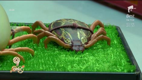 O simplă plimbare prin parc îți poate pune viața în pericol! Ce trebuie să faci ca să te ferești