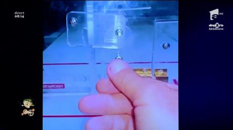 Smiley News: Nu poți să ascunzi nimic de el! Acesta este cel mai deştept papagal din lume!