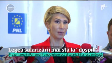 Prezentarea în Parlament a noului proiect al salarizării a fost amânată