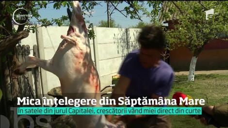 Mica înțelegere din Săptămâna Mare. În satele din jurul Capitalei, crescătorii vând miei direct din curte