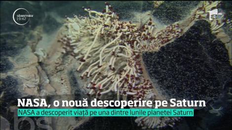 NASA a descoperit viață pe una dintre lunile planetei Saturn!