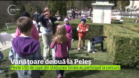Grădinile Castelului Peleş din staţiunea Sinaia au fost invadate de sute de copii care au participat la concursul anual din preajma sărbătorilor