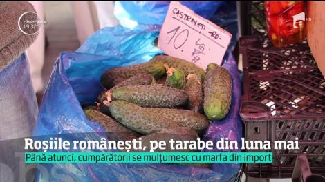 Roșiile românești, pe tarabe din luna mai