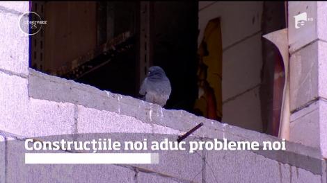 În România apar mii de construcţii noi în fiecare an, ca ciupercile după ploaie