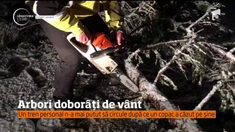 Salvamontiștii din Dâmbovița au ajutat câțiva turiști, surprinși de ninsoare