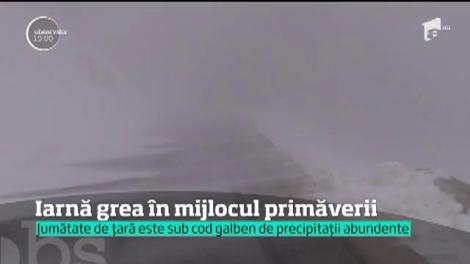 Iarna loveşte în forţă România! 11 judeţe sunt sub cod portocaliu de ninsori şi viscol puternic.