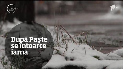 Observator TV 19/04/2017 - Ştirile zilei într-un minut