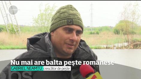 Peştele românesc lipseşte din marile magazine