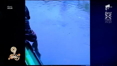 Smiley News: Paradisul pescarilor! Locul unde prinzi un sac de pește în câteva secunde