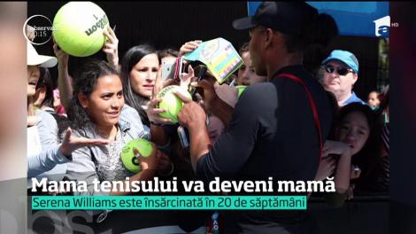 Serena Williams e însărcinată în 20 de săptămâni