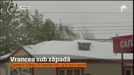 Judeţul Vrancea este sub cod portocaliu de vreme rea!