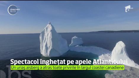 Un uriaș aisberg a atras toate privirile în largul coastei canadiene