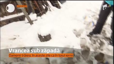 Din cauza vremii, într-un sat din Vrancea sute de gospodării au rămas fără curent