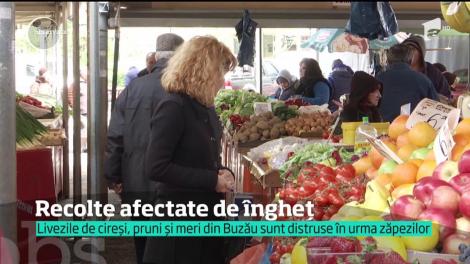 Vremea rea şi frigul le dau fiori reci agricultorilor