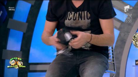 Râzi cu lacrimi! Răzvan a cotrobăit în bagajul de sport al lui Dani până când a ajuns la... lenjeria intimă americană: ”Sunt de ăia, mă, fără frecușuri!”