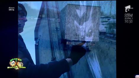 Smiley News. Un rus a transformat maşinile pline de praf în opere de artă