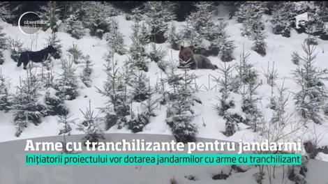 Parlamentarii vor să-i înzestreze pe jandarmi cu arme cu tranchilizant